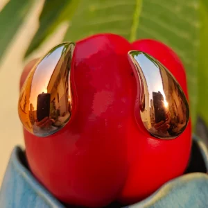 Rose Gold Colour Earrings