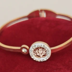 Rose Gold Colour Bracelet in Sleek Look